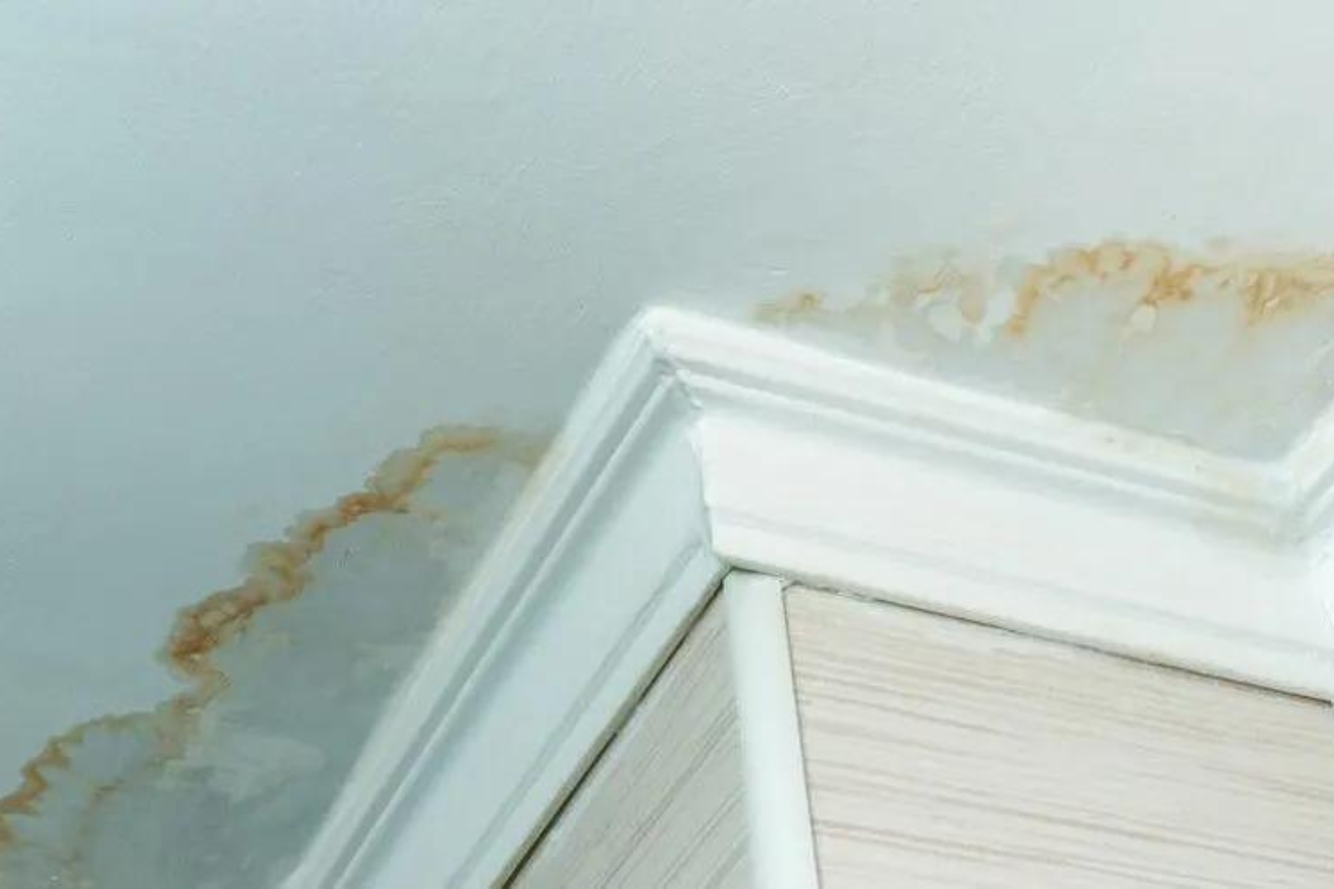 Water Damage Estimates